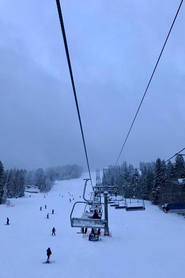 Huklyvyy Chalet Borzhava מראה חיצוני תמונה